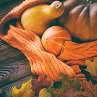 Herbst-Komposition