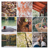 Herbst-Mosaik