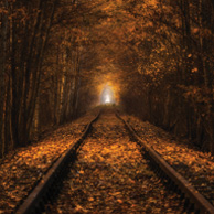 Paweł Uchorczak - Herbsttunnel