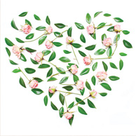 Herz aus Rosen