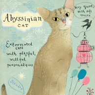 Abessinier-Katze
