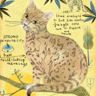 Bengalkatze
