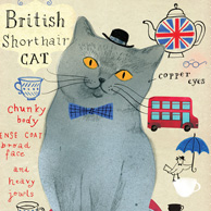 britische Katze
