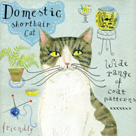 Hauskatze