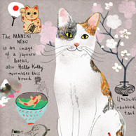Japanische Katze