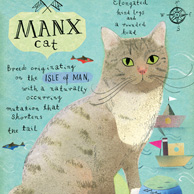 Manx-Katze