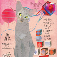 Orientalische Katze