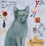 Blaue Russische Katze