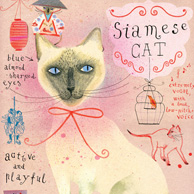 Siamkatze