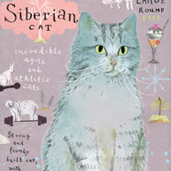Sibirische Katze