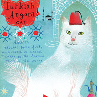 Angorakatze
