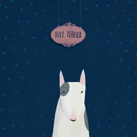 Bullterrier