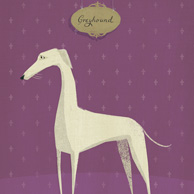 Windhund