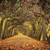 Danziger Park im Herbst