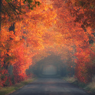 Herbst-Impressionen