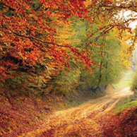 Der Herbst kommt!
