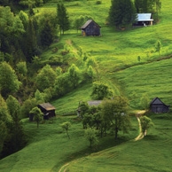 Grüne Hügel