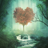 Herzförmiger Baum