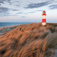 Landschaft mit Dünen und Leuchtturm