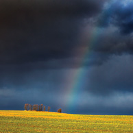 Licht der Hoffnung