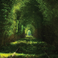 Tunnel der Liebe