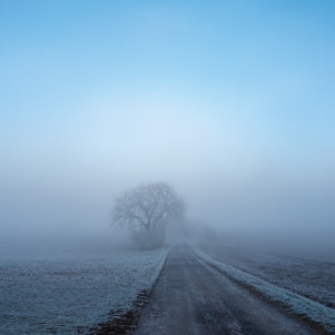 Winterlicher nebliger Morgen