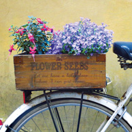 Fahrrad und Blumen