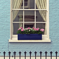 In blau