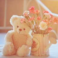 Teddybär und Nelken