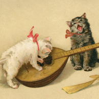 Katzenmusik