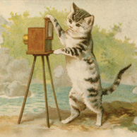 Katzenfotograf
