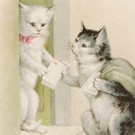 Katze-Postbote