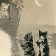 Balz der Katze