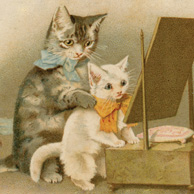 Katzen vor einem Spiegel