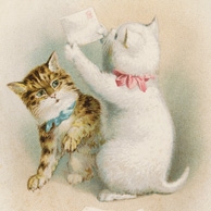 Katzen mit Briefen