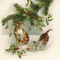 Katzen mit Christbaumkugeln 