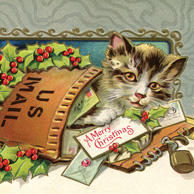 Weihnachten Kätzchen