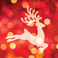 Weihnachtsbeleuchtung Rentier