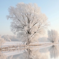Winterlandschaft